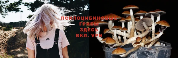 PSILOCYBIN Баксан